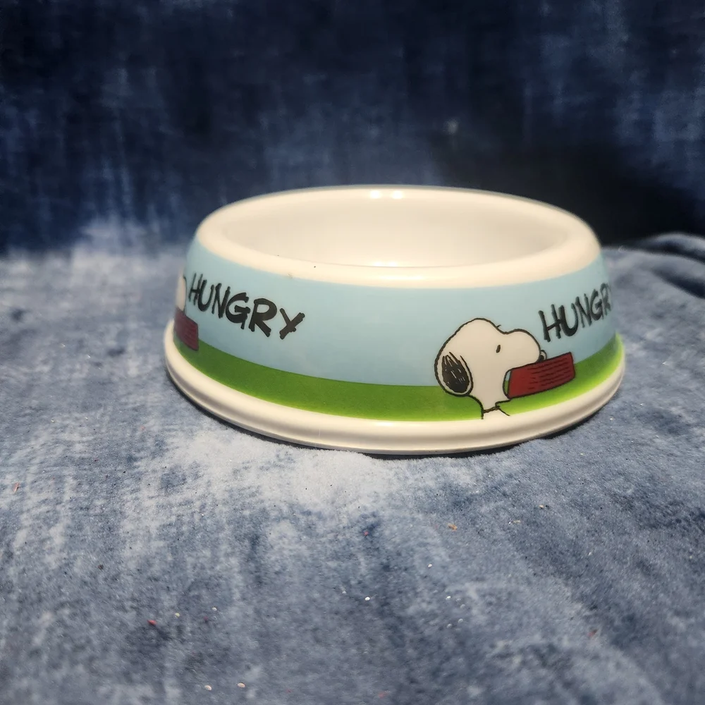 Blue and Green Dog Bowl